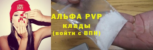 стафф Богданович