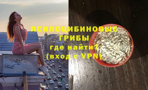 стафф Богданович