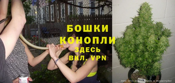 стафф Богданович