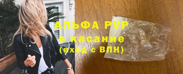 стафф Богданович