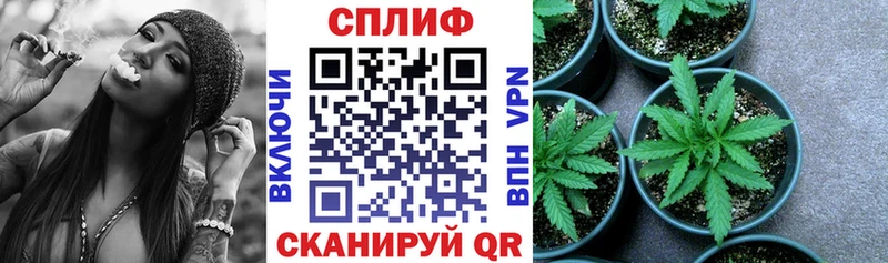Бошки Шишки индика Верхняя Салда
